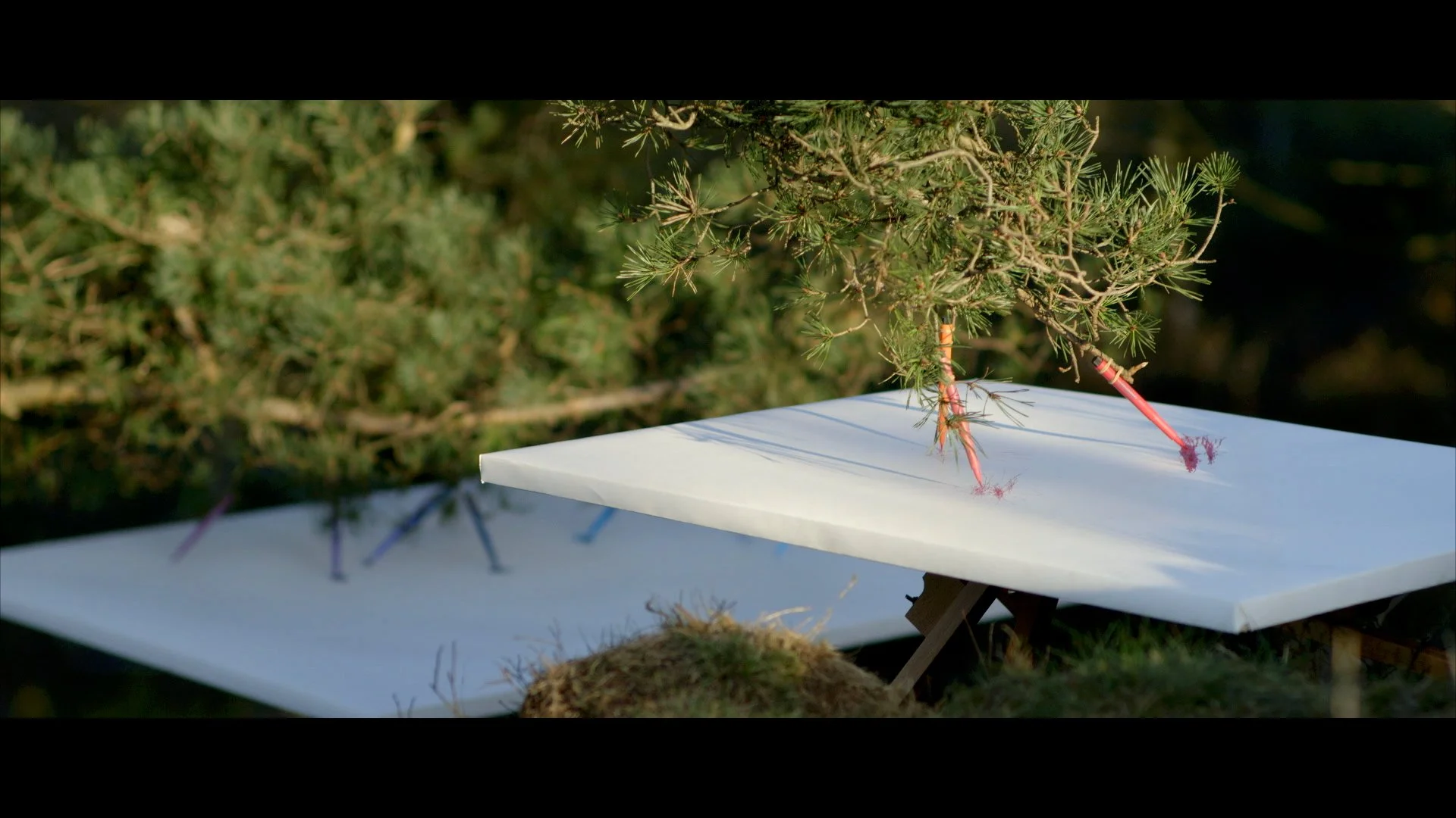 Nature at Your Fingertips.jpeg