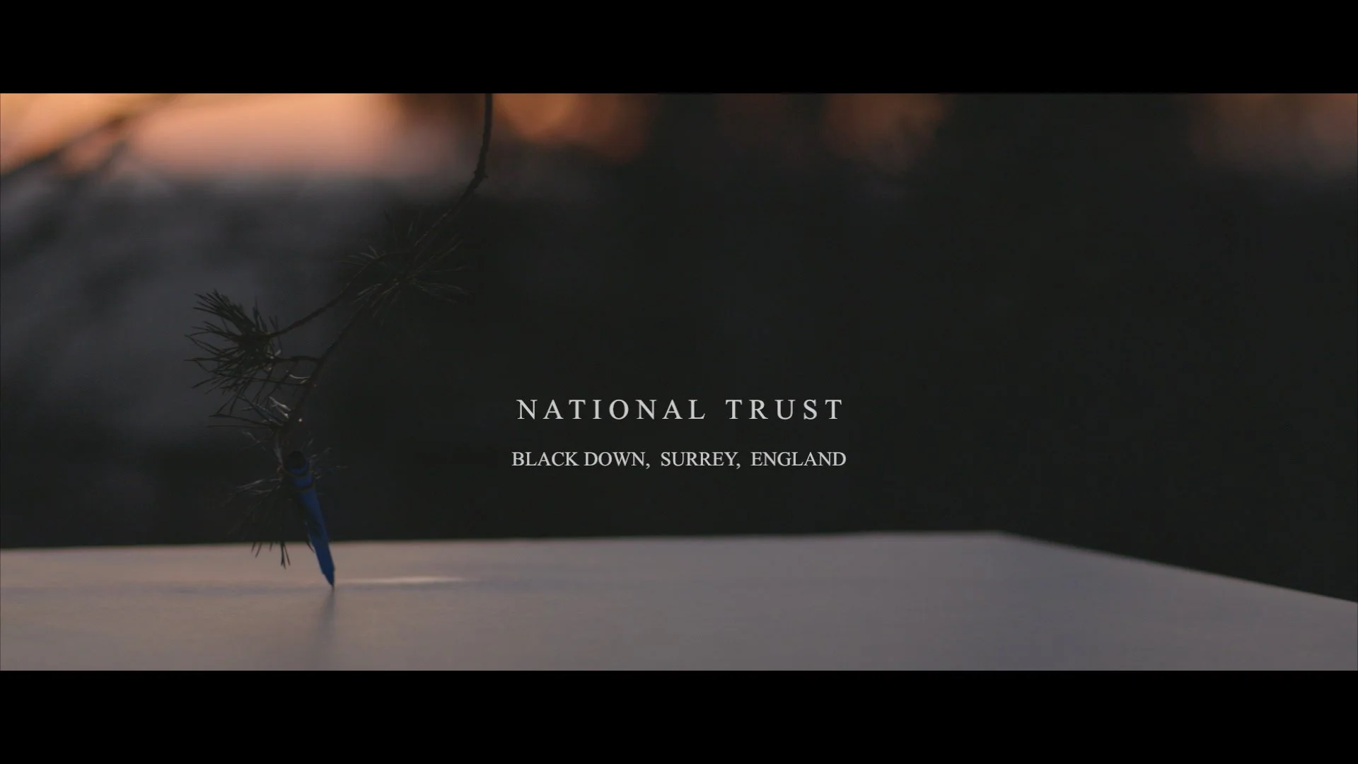 Nature at Your Fingertips.jpeg