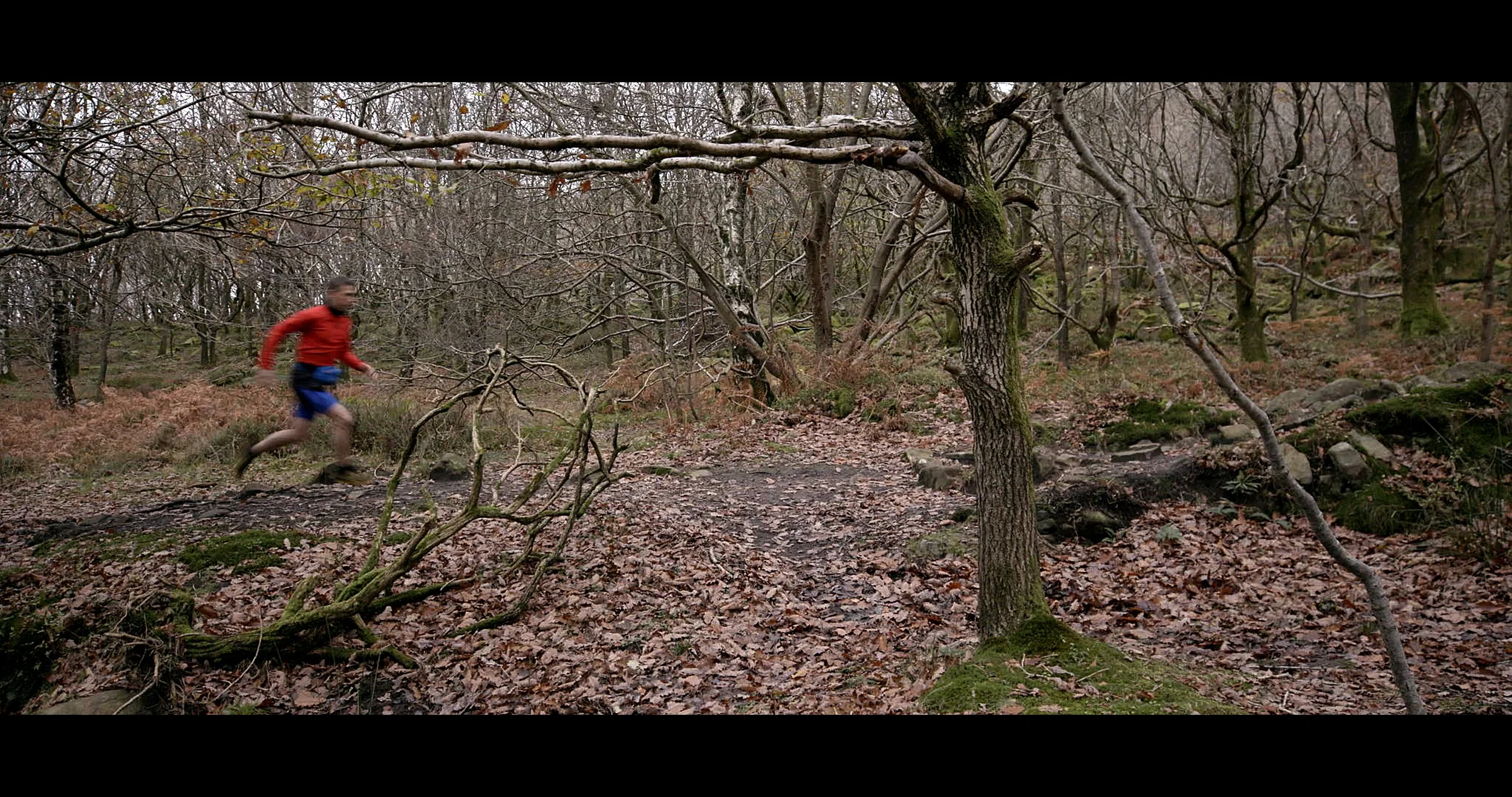 Learning to Fly Again.jpeg