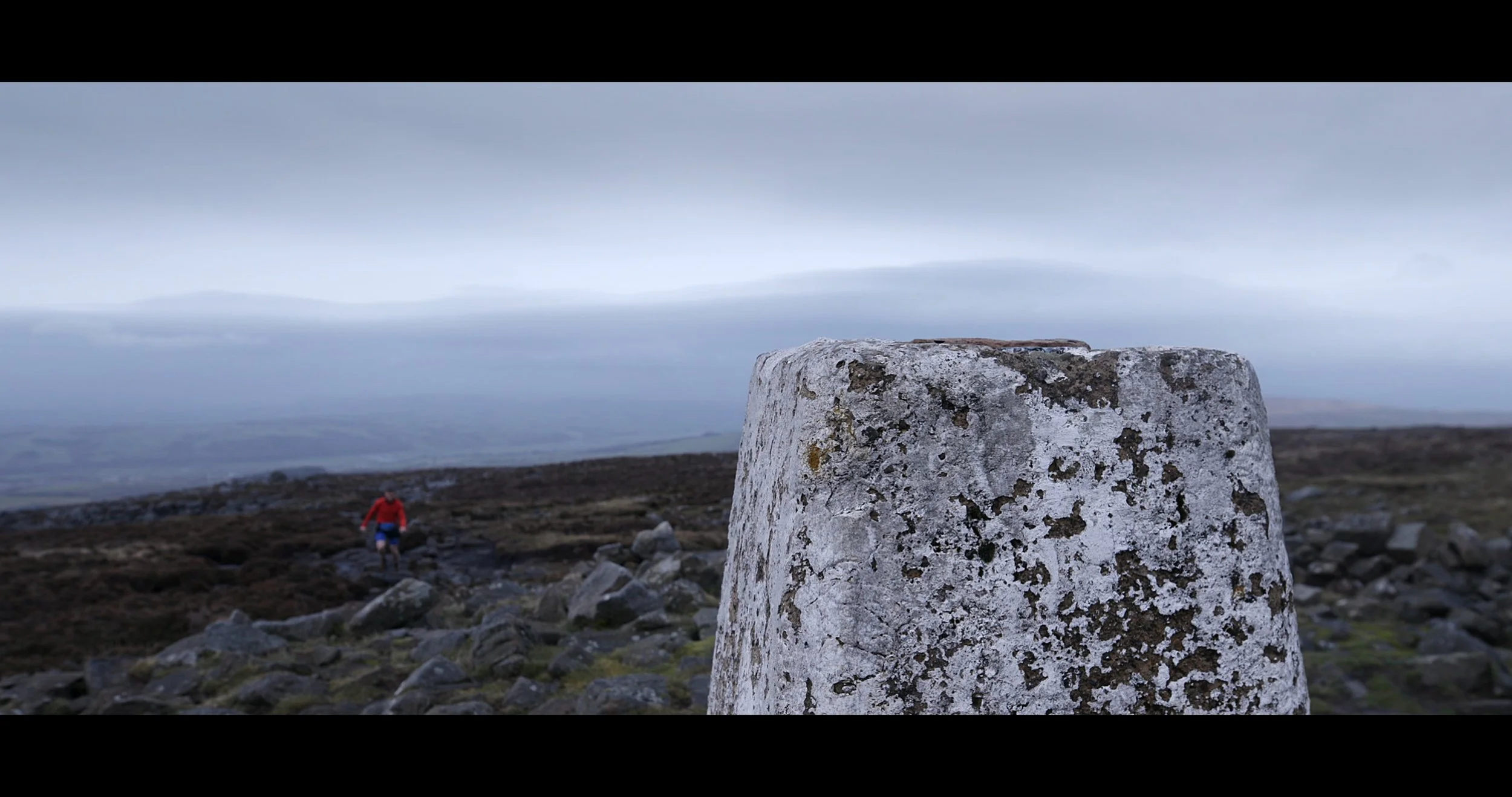 Learning to Fly Again.jpeg