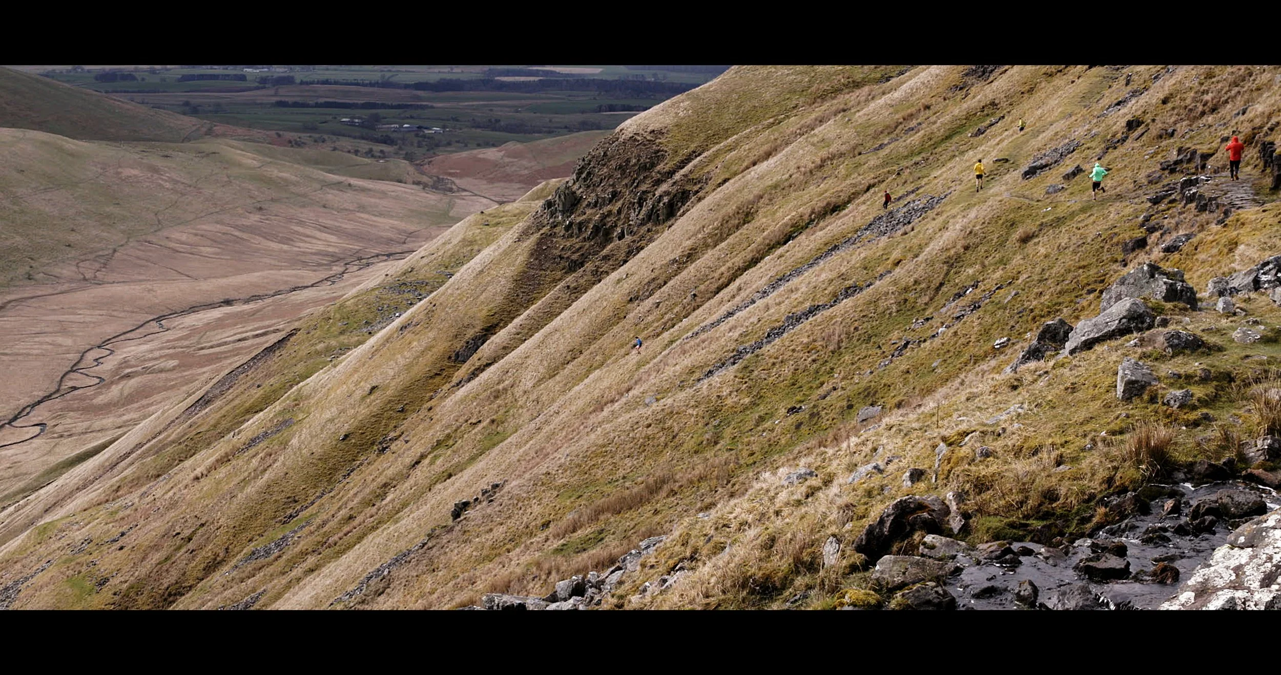 As if our lives depended on it.jpeg