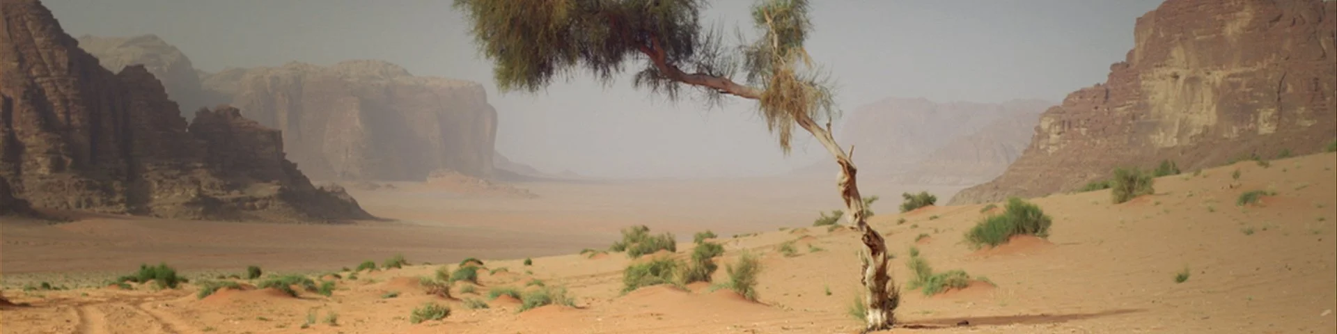 Still from BBC Knowledge ident Climber