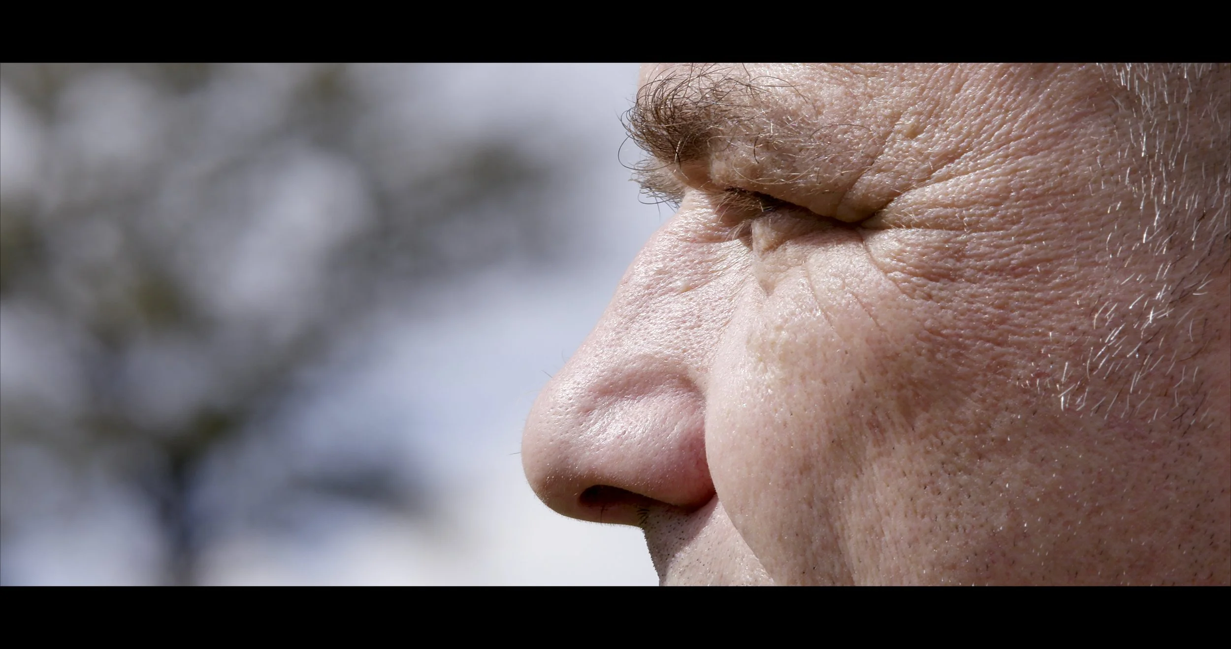 Raising the Hare.jpeg