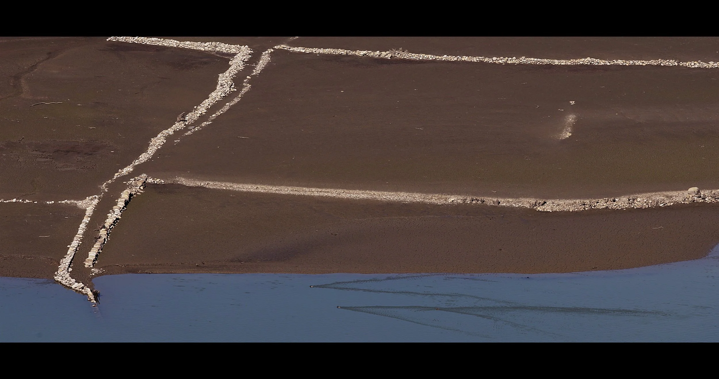 Waterline.jpeg