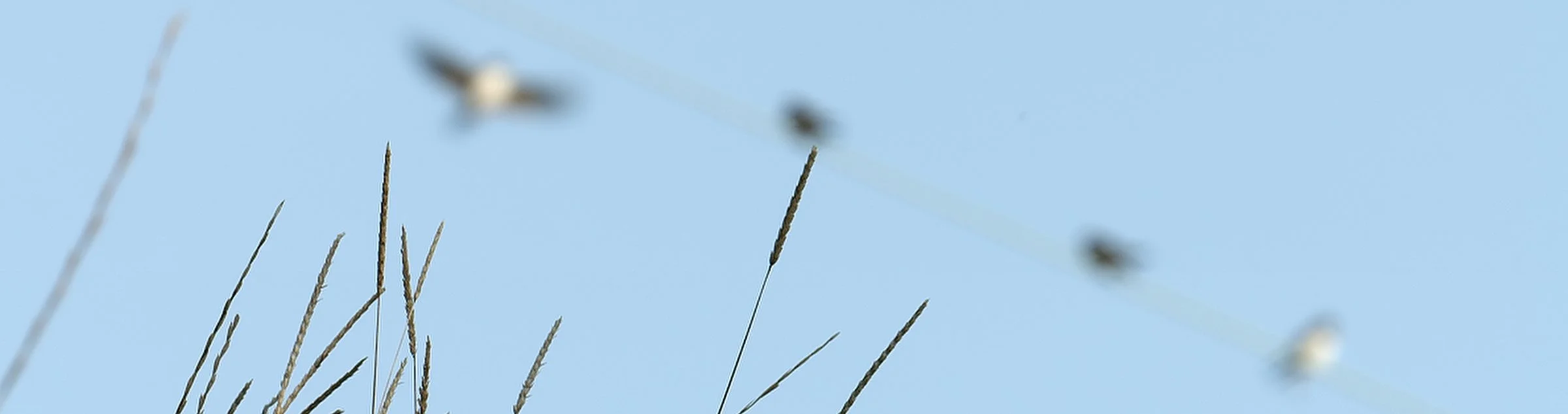 Facing the Wind (2).jpeg