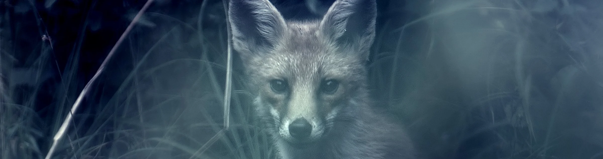 Facing the Wind.jpeg