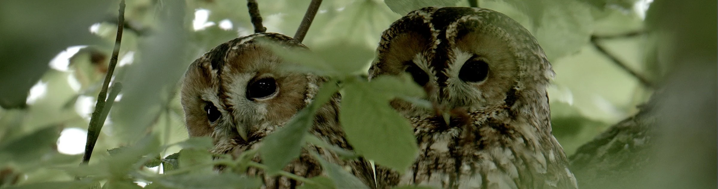 Facing the Wind (3).jpeg