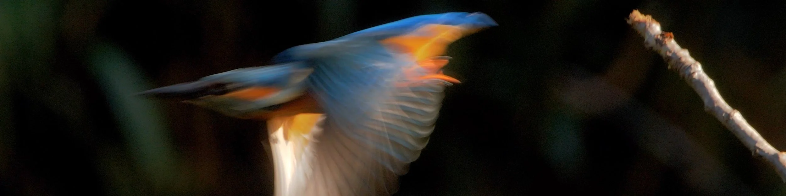 Still from Marginalia | song to the river