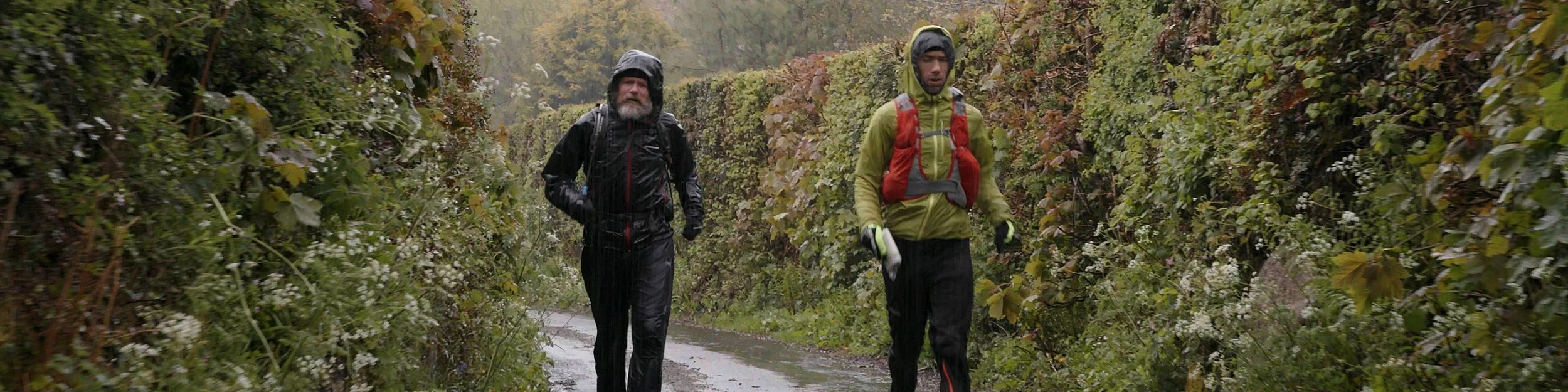 Still from The Wild Tour