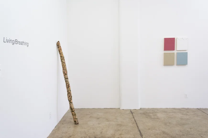 Installation View (courtesy of Morgan Lehman Gallery)