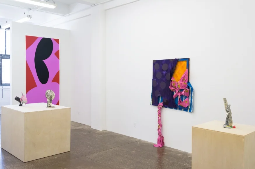 Installation View (courtesy of Morgan Lehman Gallery)