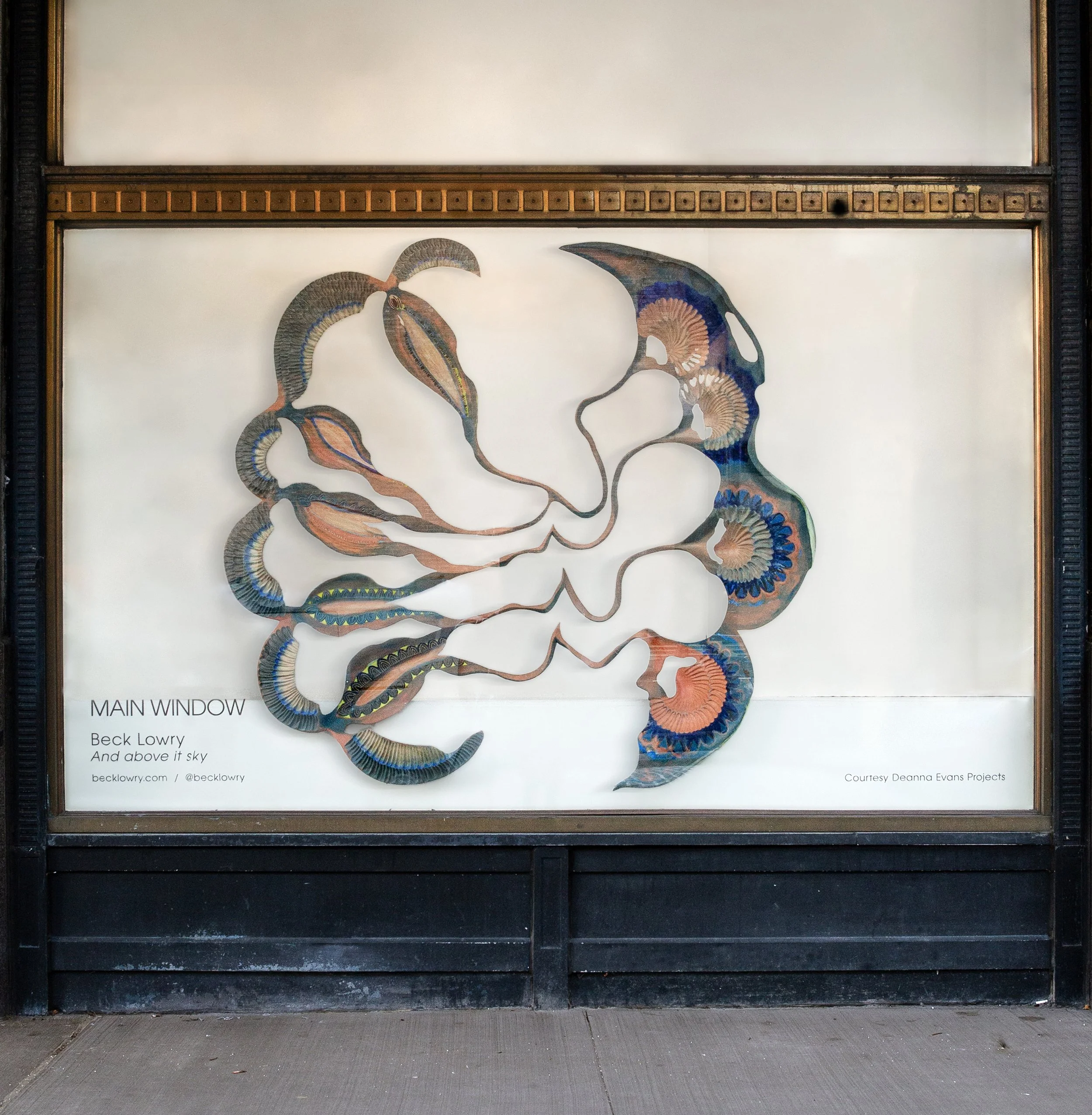 Beck Lowry at Main Window Dumbo