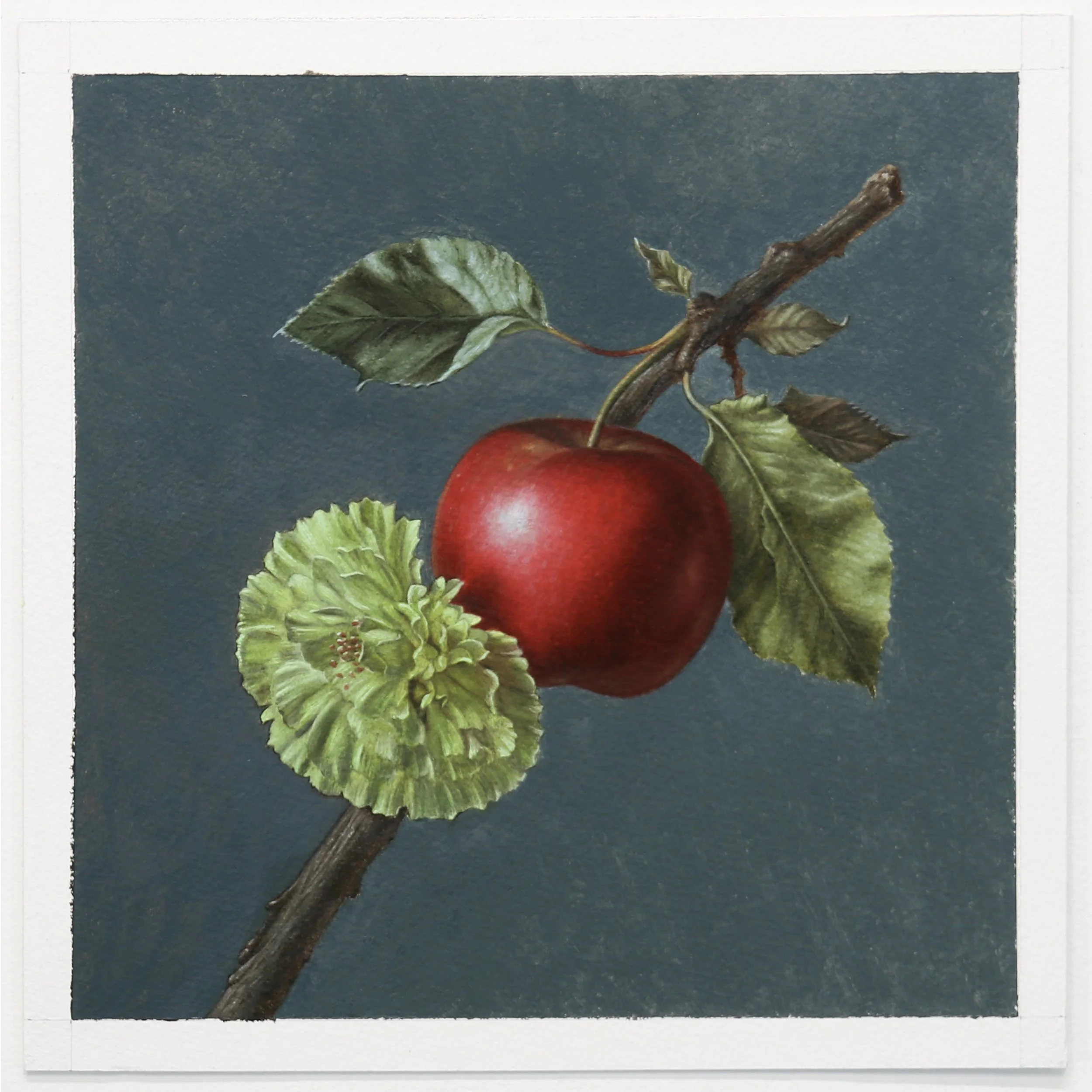 Adams_botanicalstudy2.jpg
