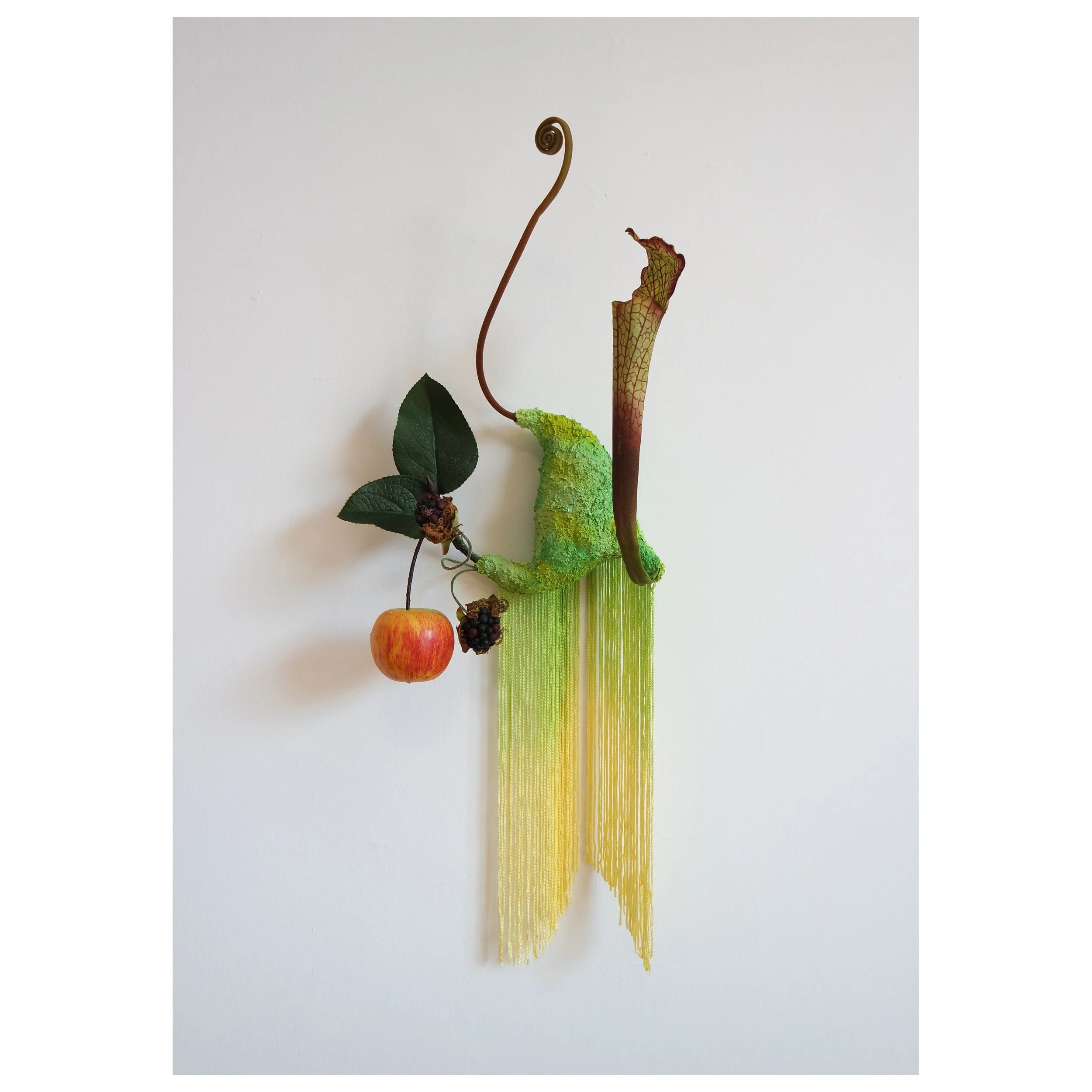 Bug Snack square.jpg