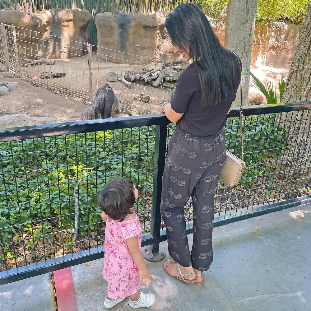 This little lady loved her zoo trip and we both saw Anteaters for the first time!
.
.
.
.
#zootrip #zootime #zoo #thisrainbowgirl #crazyaboutcouture #momstylelife #toddlermommy #lifewithlittles #mommystatus #highwaistedpants #weekendwear