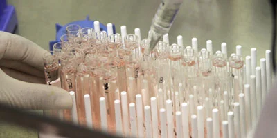 research-allergy-and-immunology.jpg