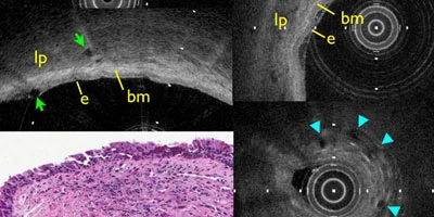 research-imaging.jpg