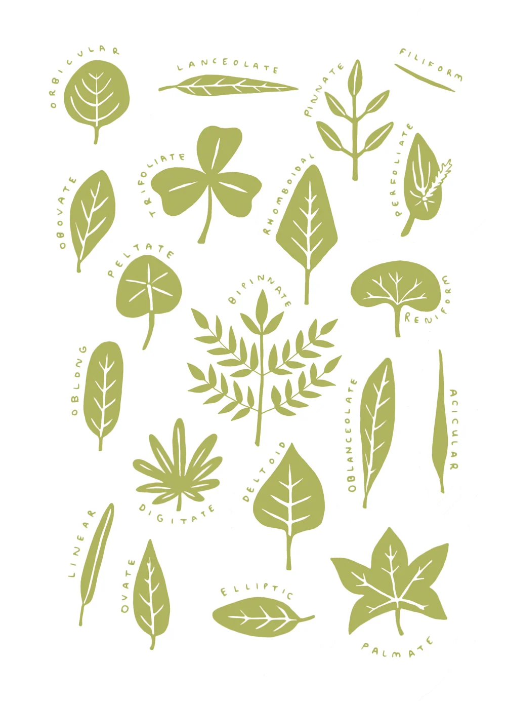 Leaf identification spread by Nina Montenegro from A Year in the Garden