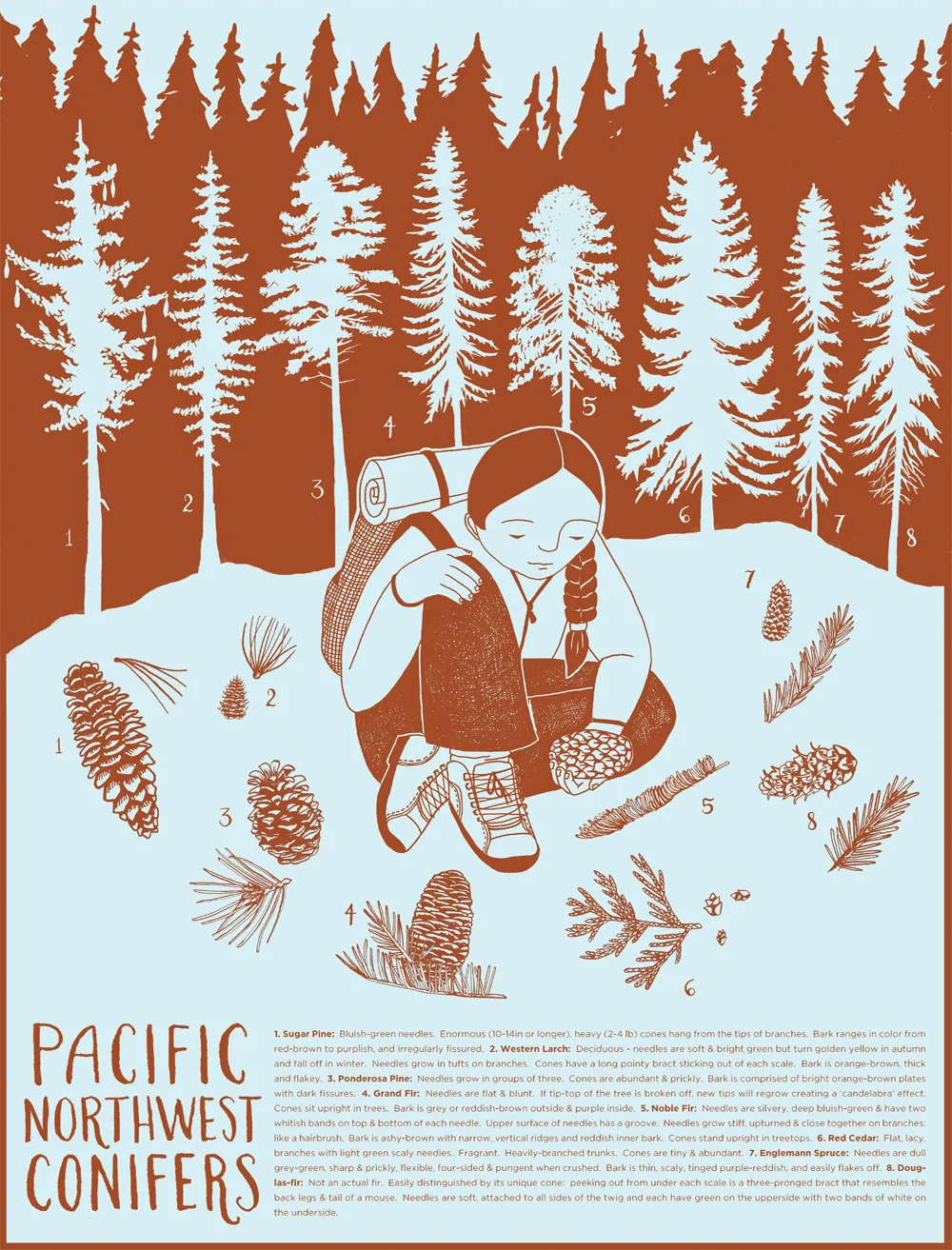 Guide to Pacific Northwest Conifers Print, by Sonya and Nina Montenegro