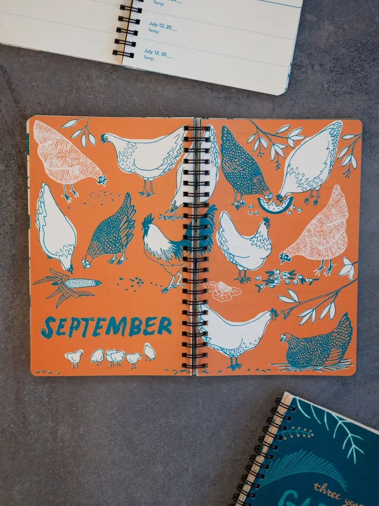  Each new month is announced with a lively full illustration spread. 