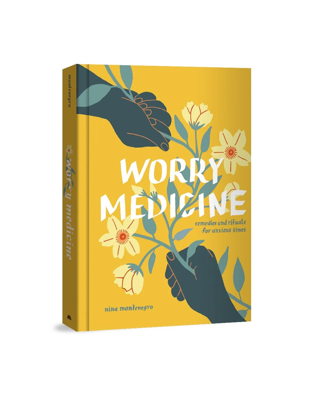 Worry Medicine book by Nina