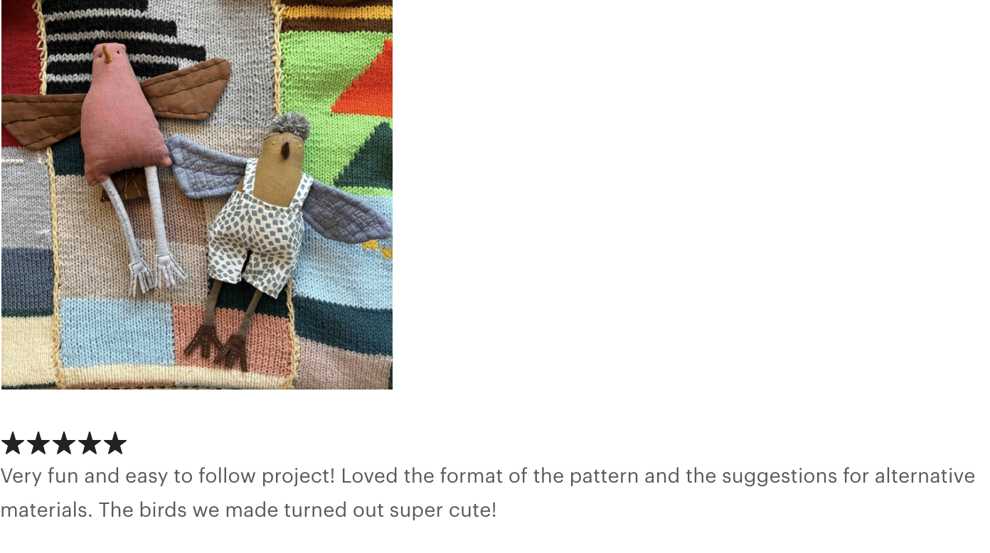 bird zine review.png