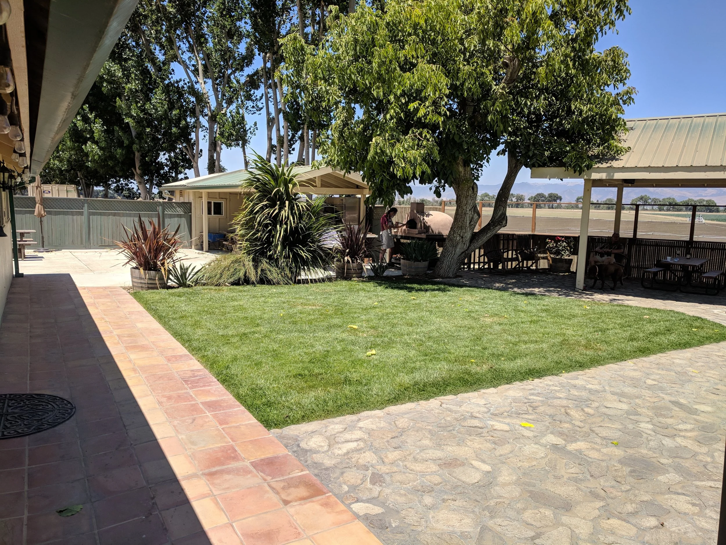 IMG_20180701_134032.jpg