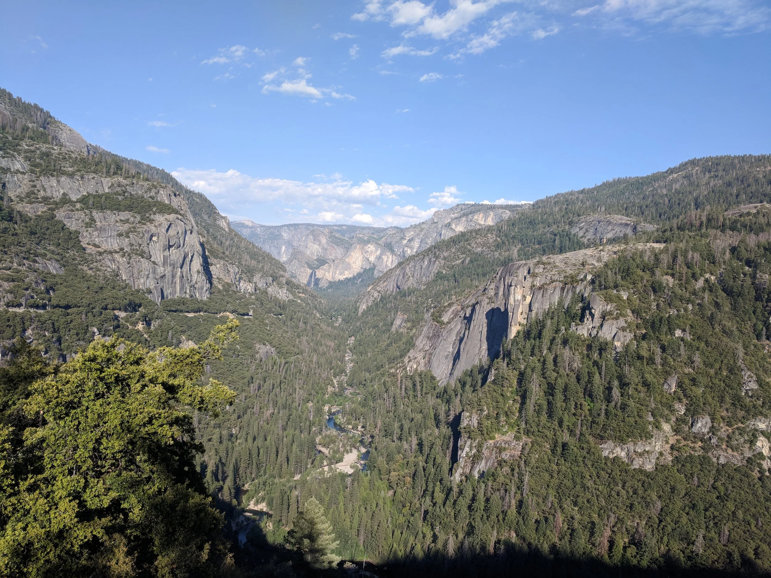 IMG_20180701_180030.jpg