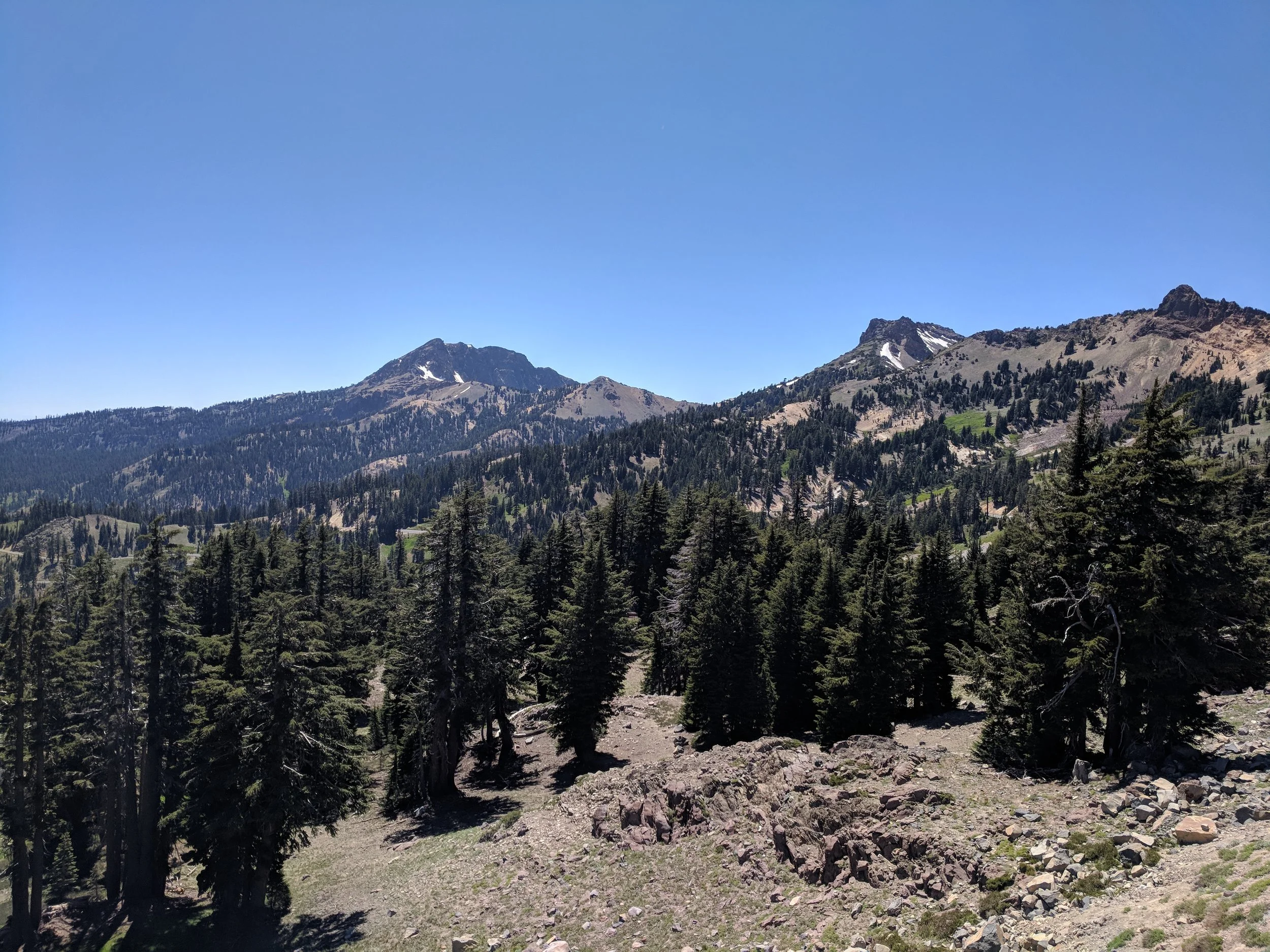 IMG_20180702_144804.jpg