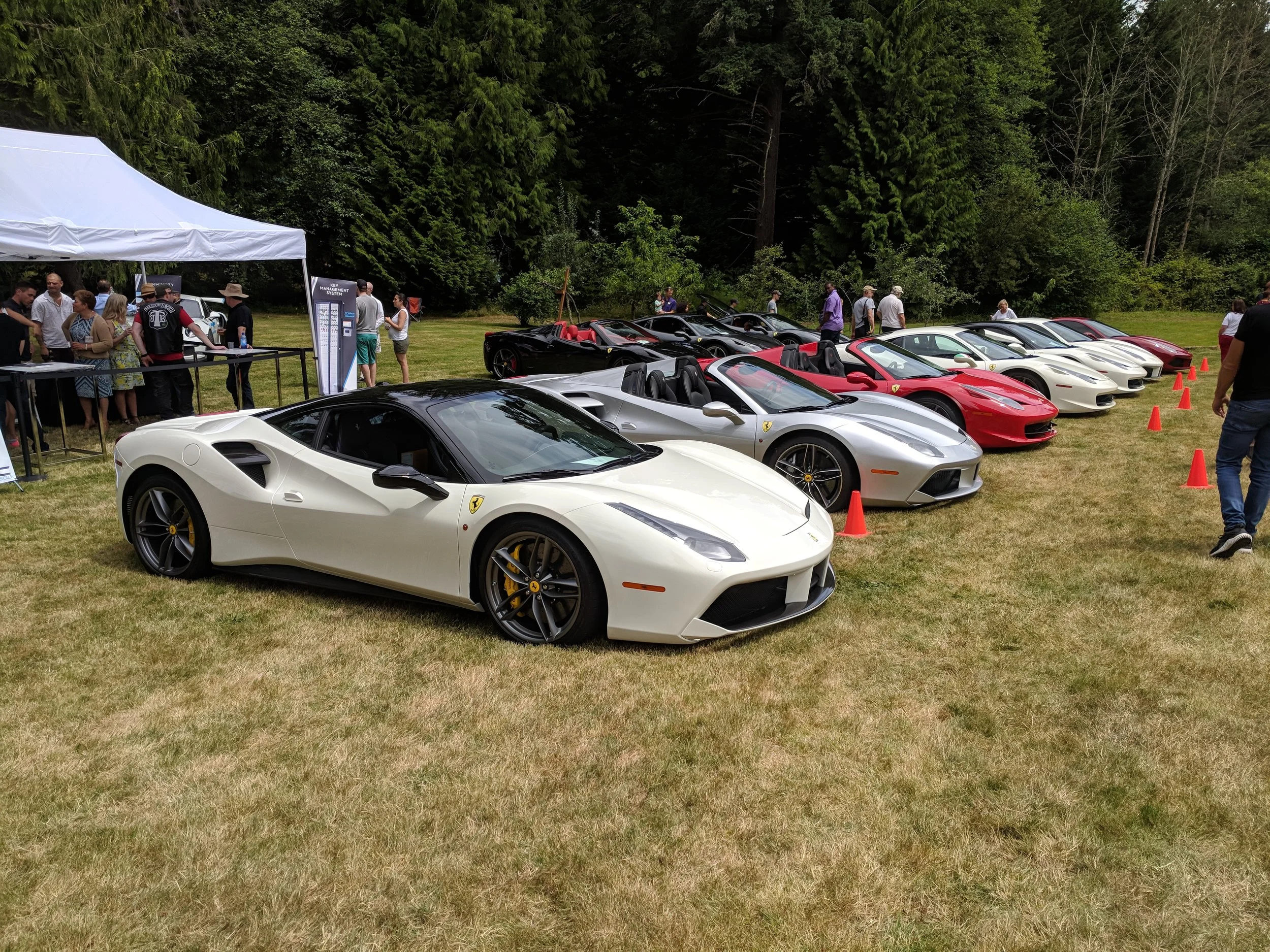 IMG_20180708_131442.jpg