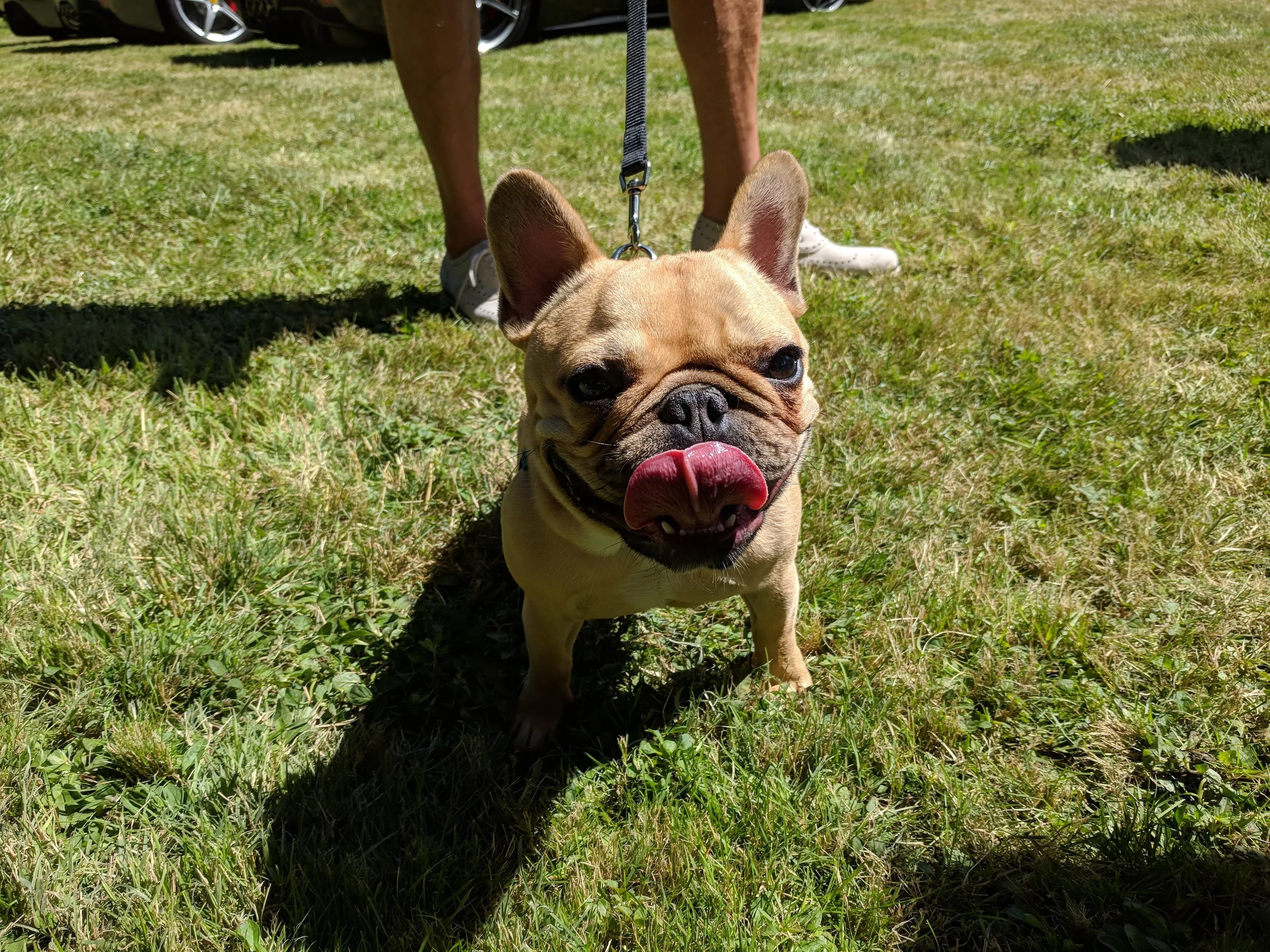 IMG_20180708_144607.jpg