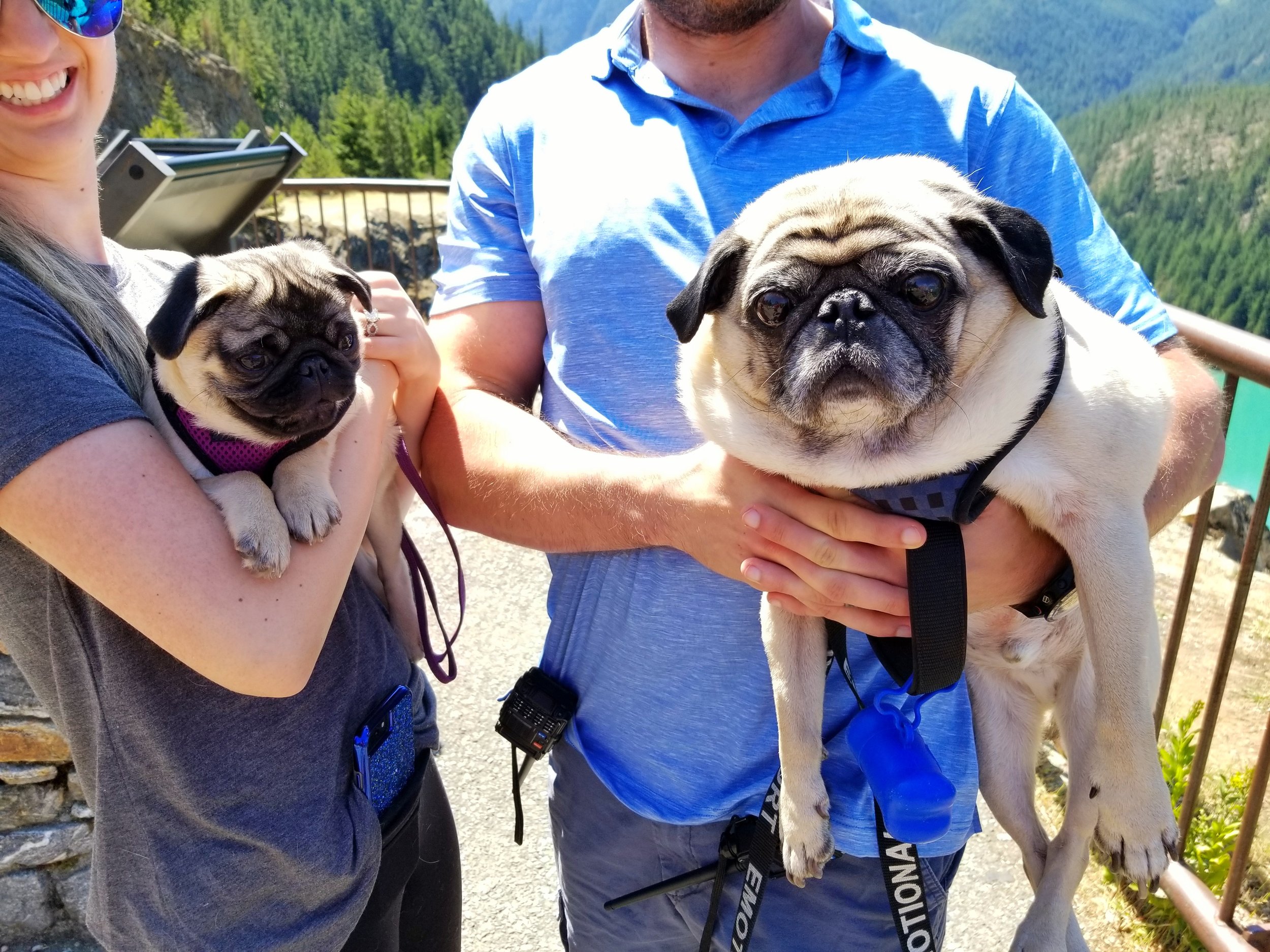 20180715_115207-01.jpeg