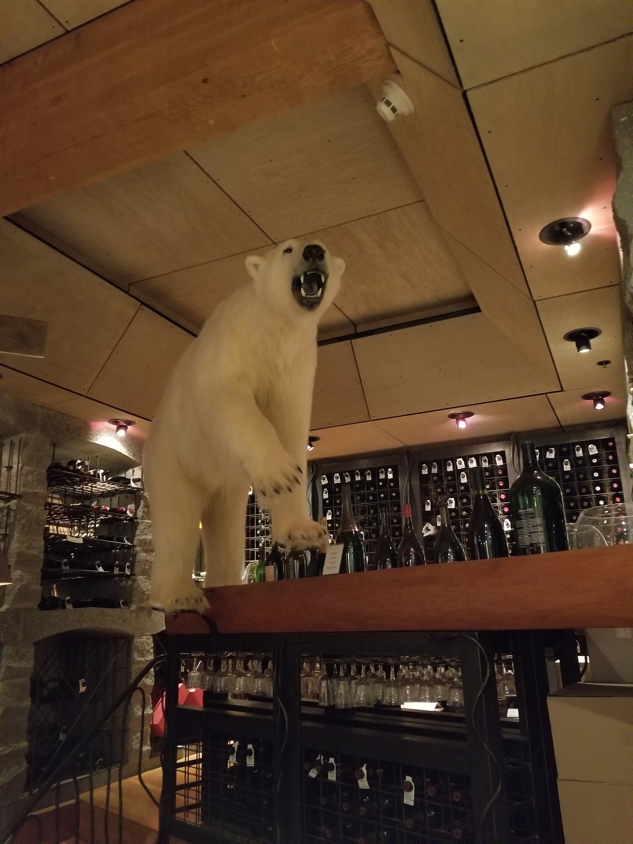 20180715_143715.jpg
