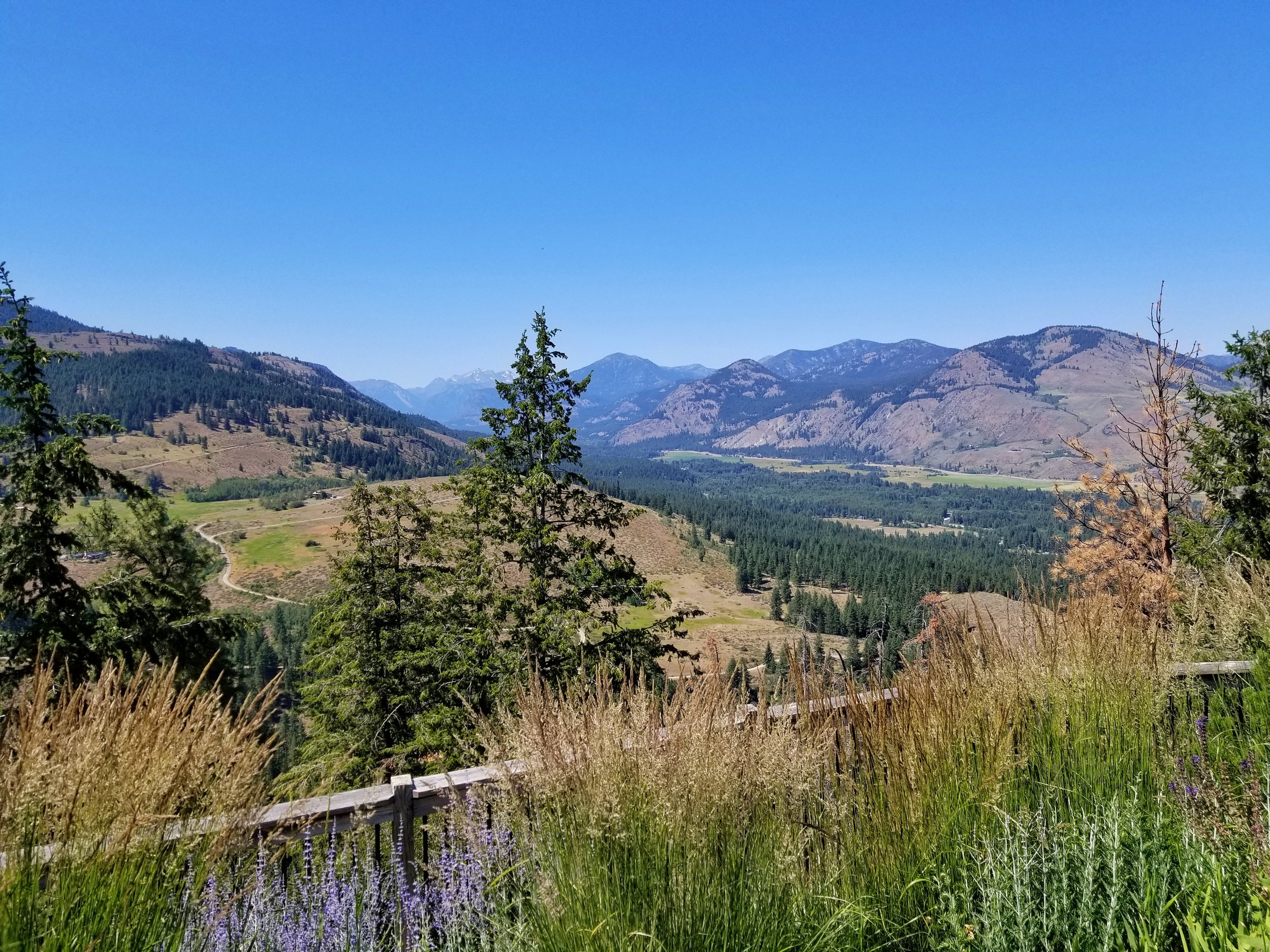 20180715_144323-01.jpeg