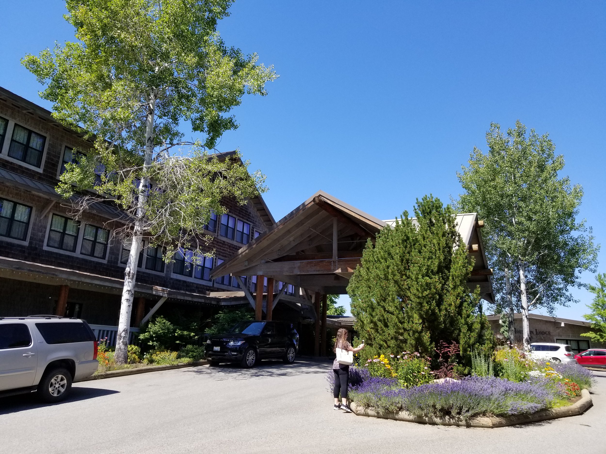 20180715_144957.jpg