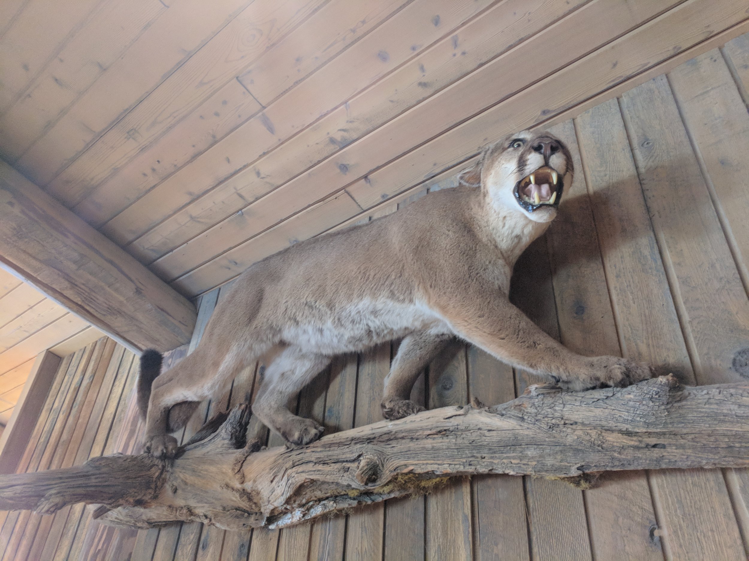 IMG_20180715_131849.jpg