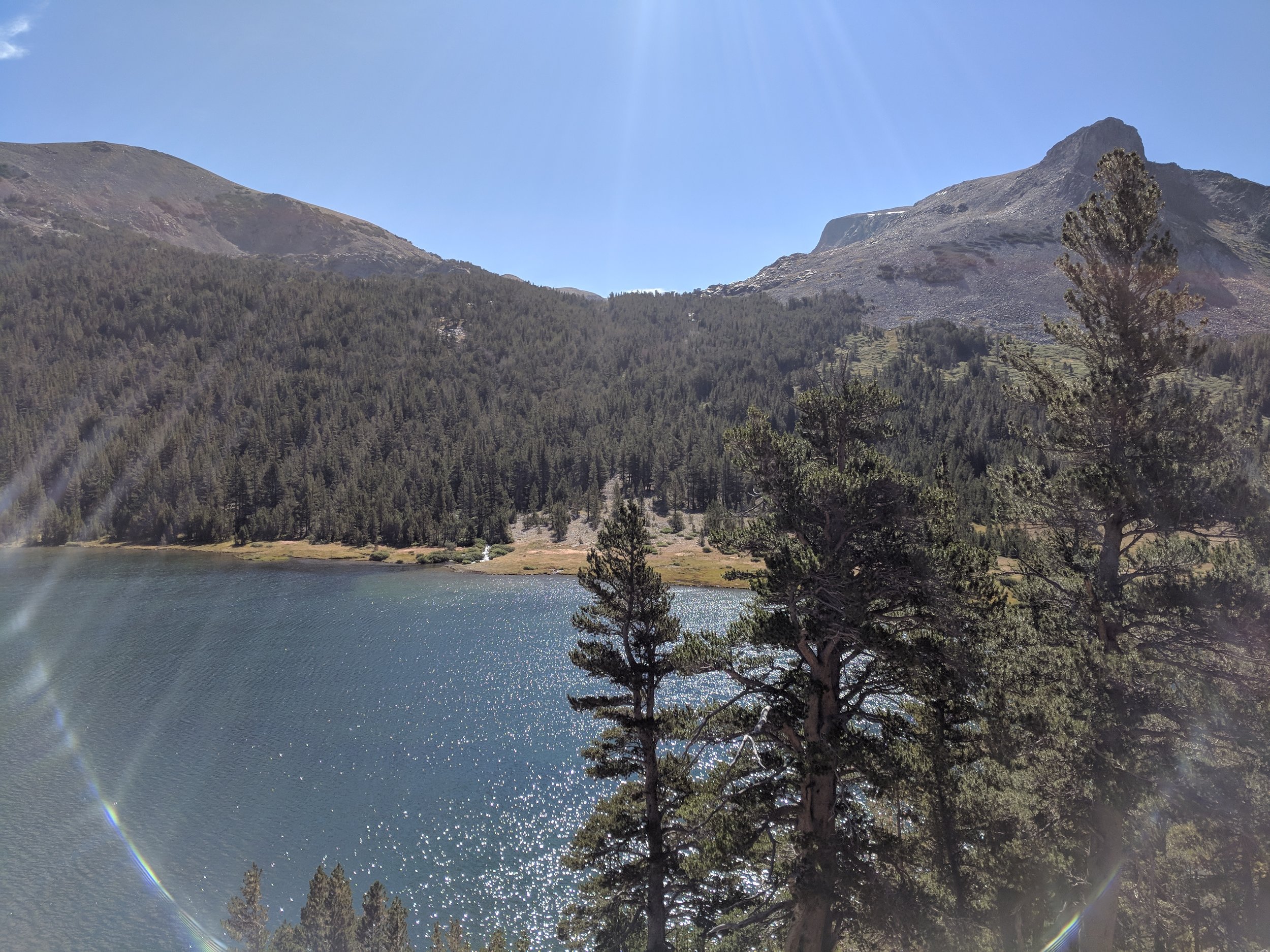 IMG_20180821_100251.jpg