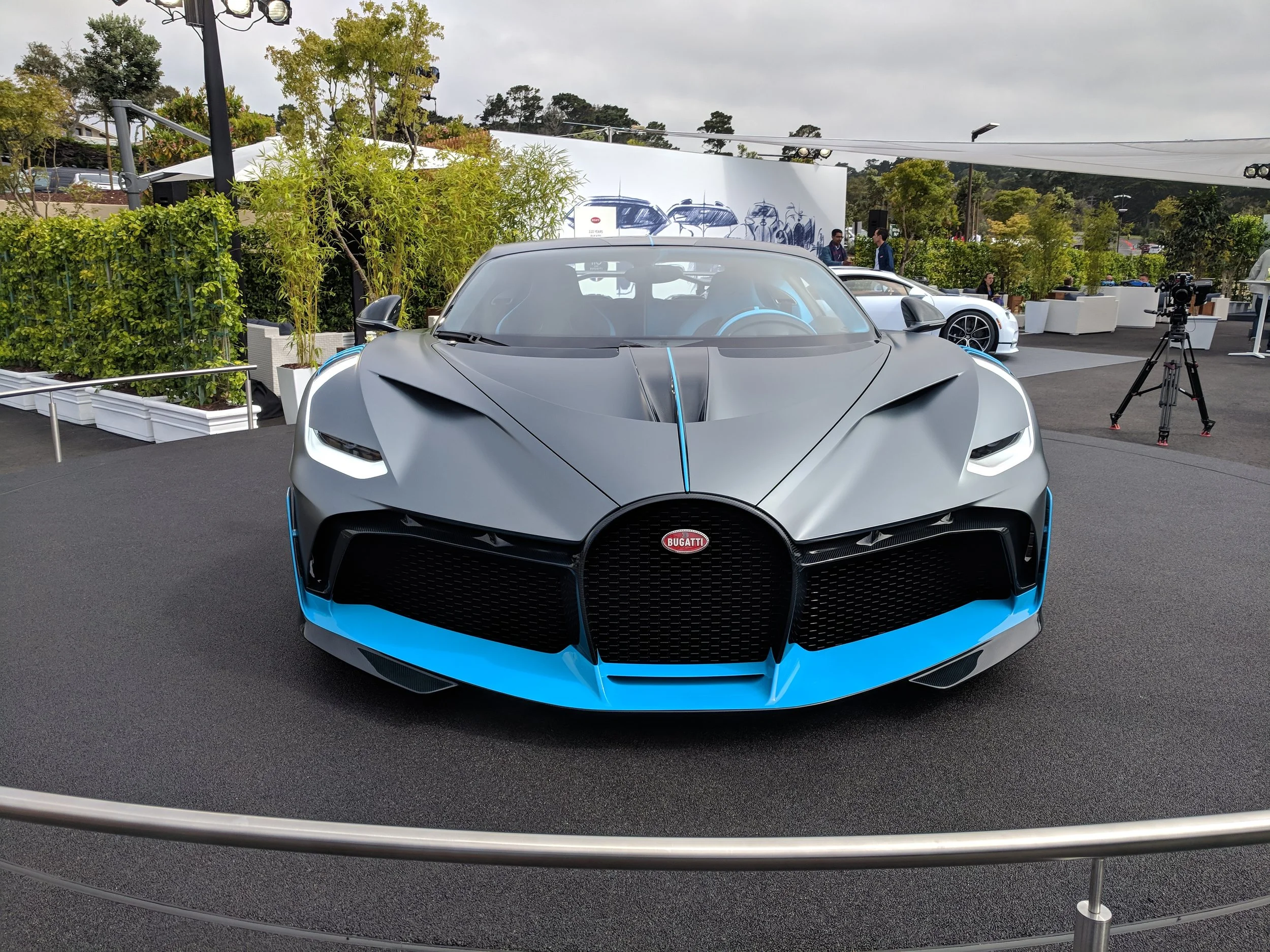 IMG_20180826_105216.jpg