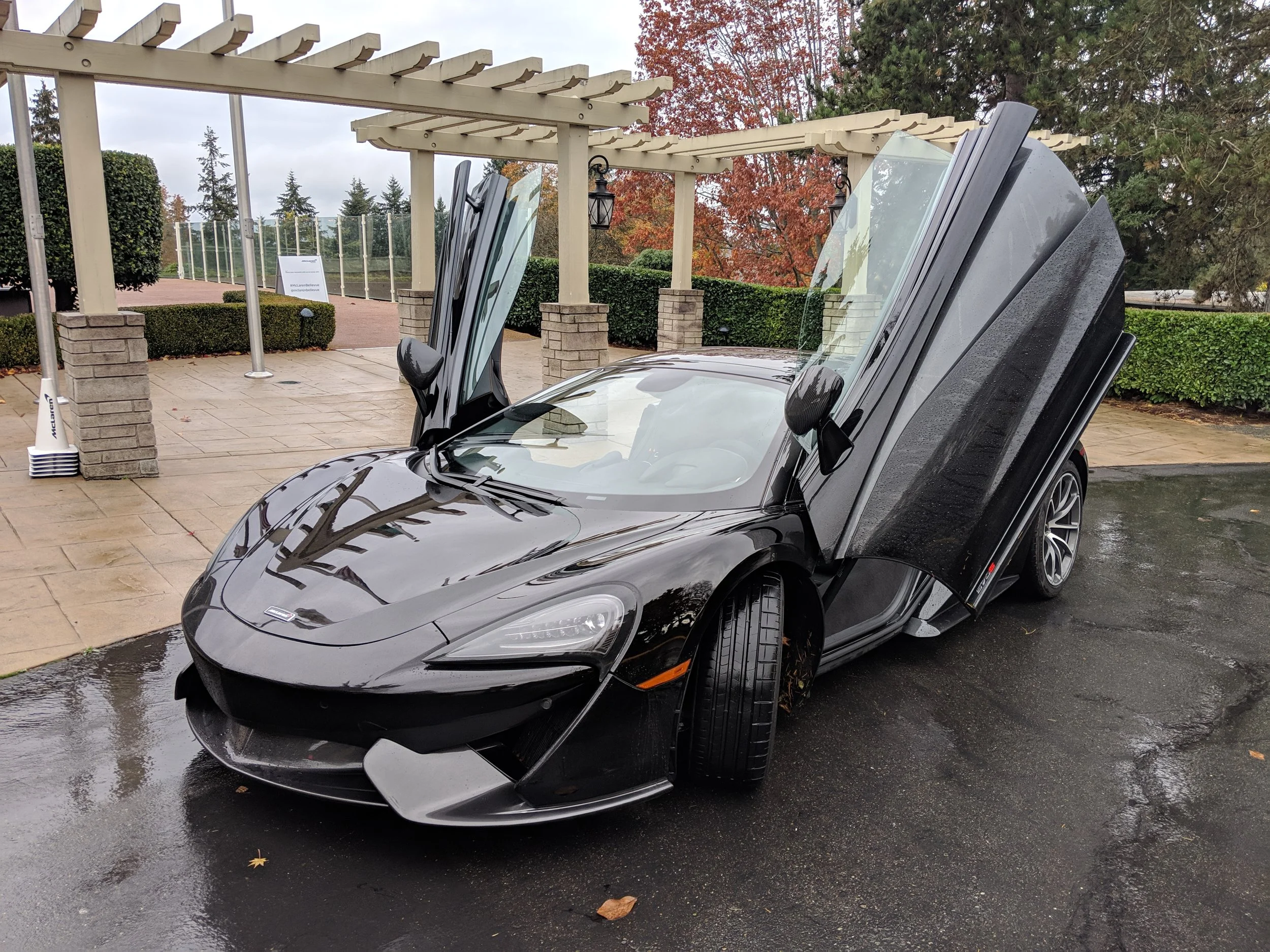 MVIMG_20181103_101757.jpg