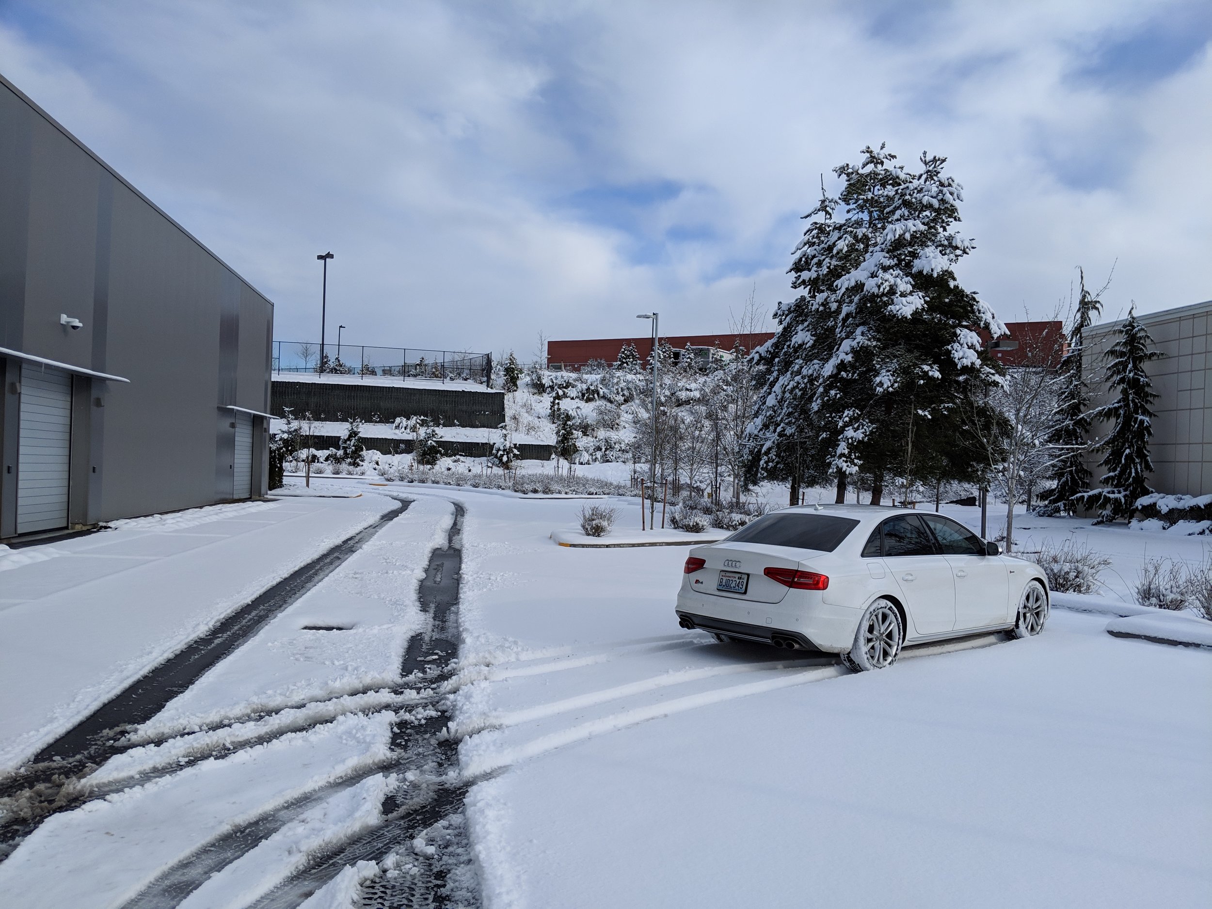 MVIMG_20190209_144343.jpg
