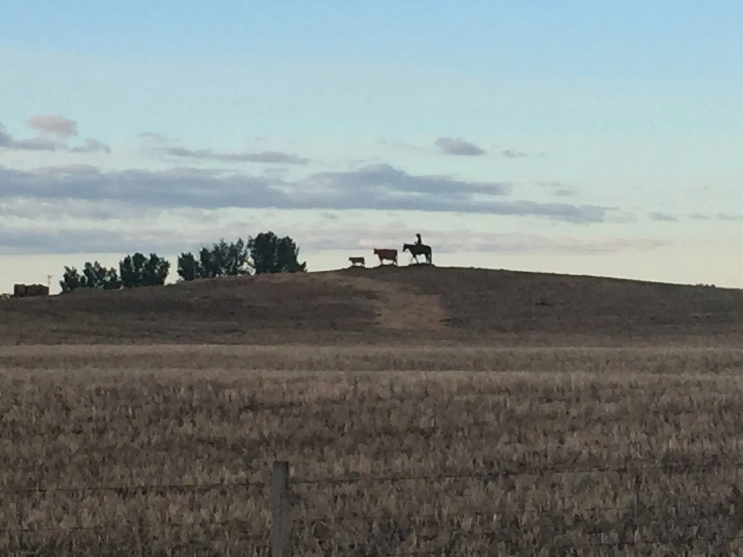 Sedgewick to Wetaskiwin, AB (82 miles)