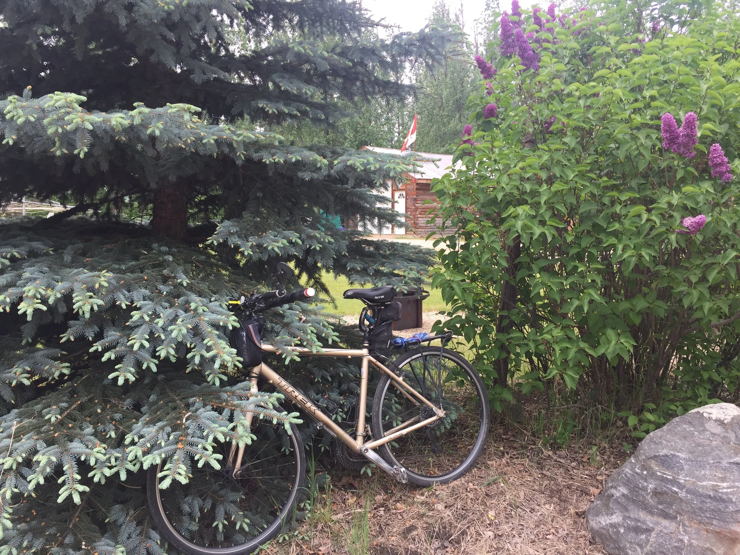 Rural Grande Prairie, Alberta (2nd day no riding)