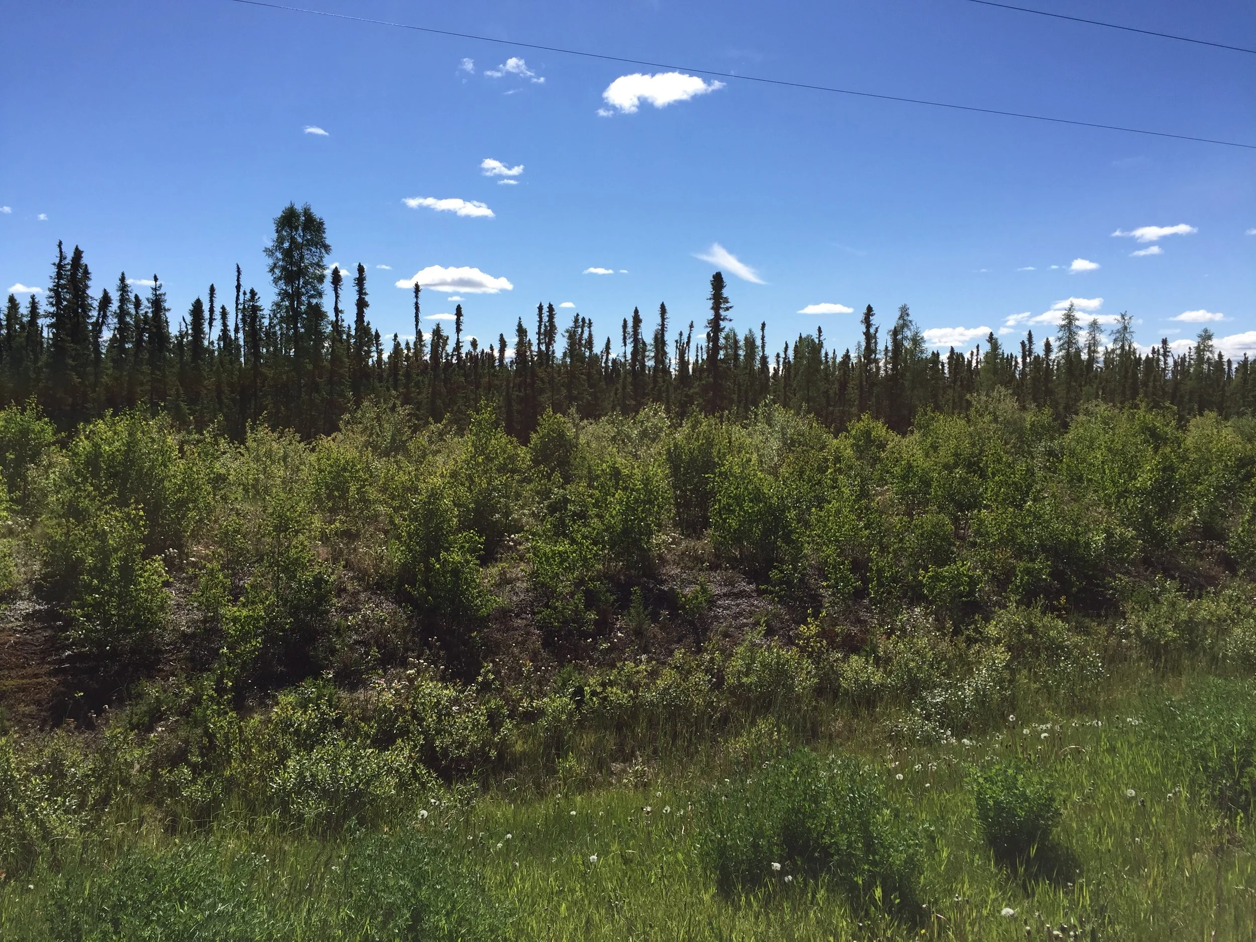 Profit River to Fort Nelson, BC (57 miles)