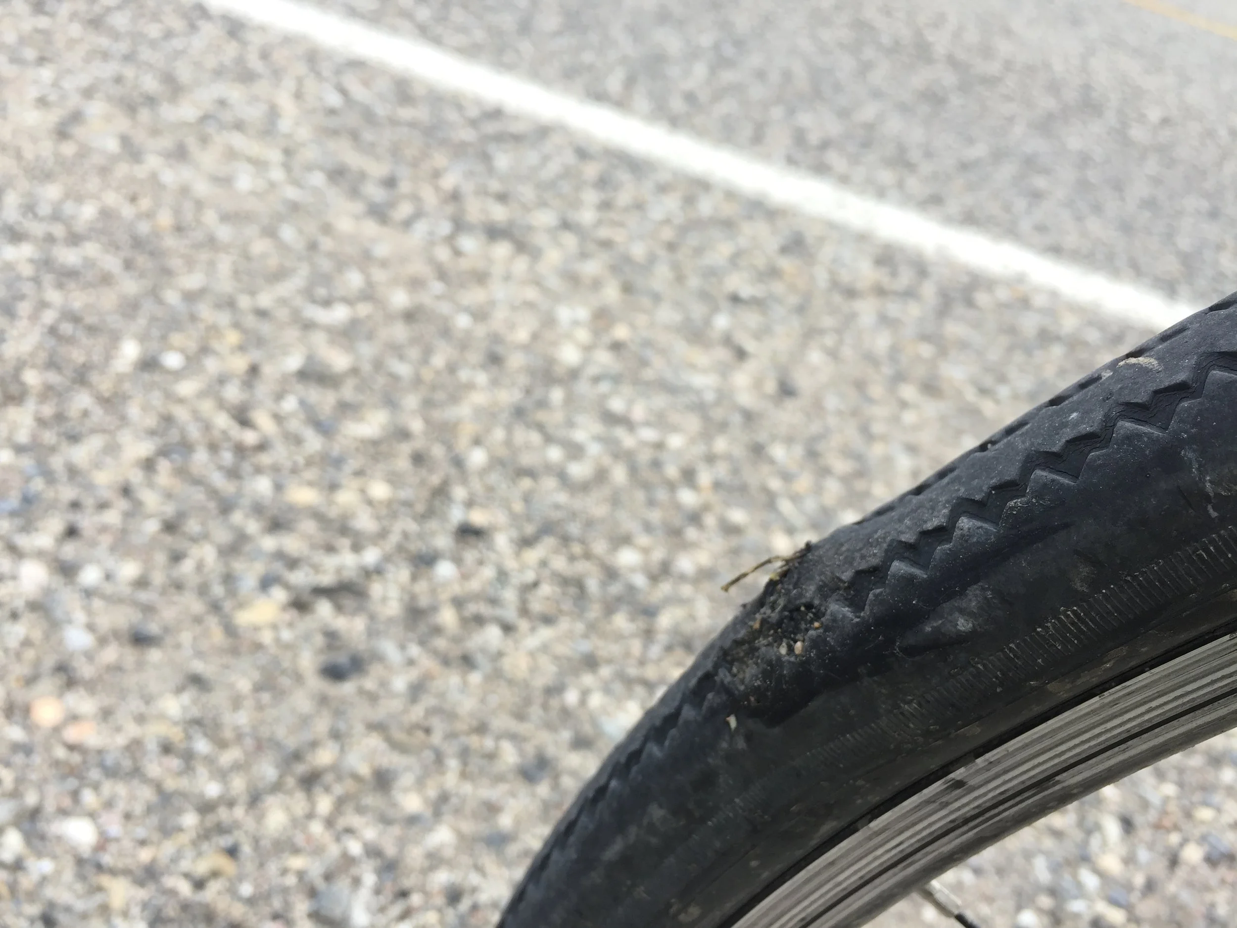 Fort Nelson to Tetsa River Lodge, BC (68 miles)