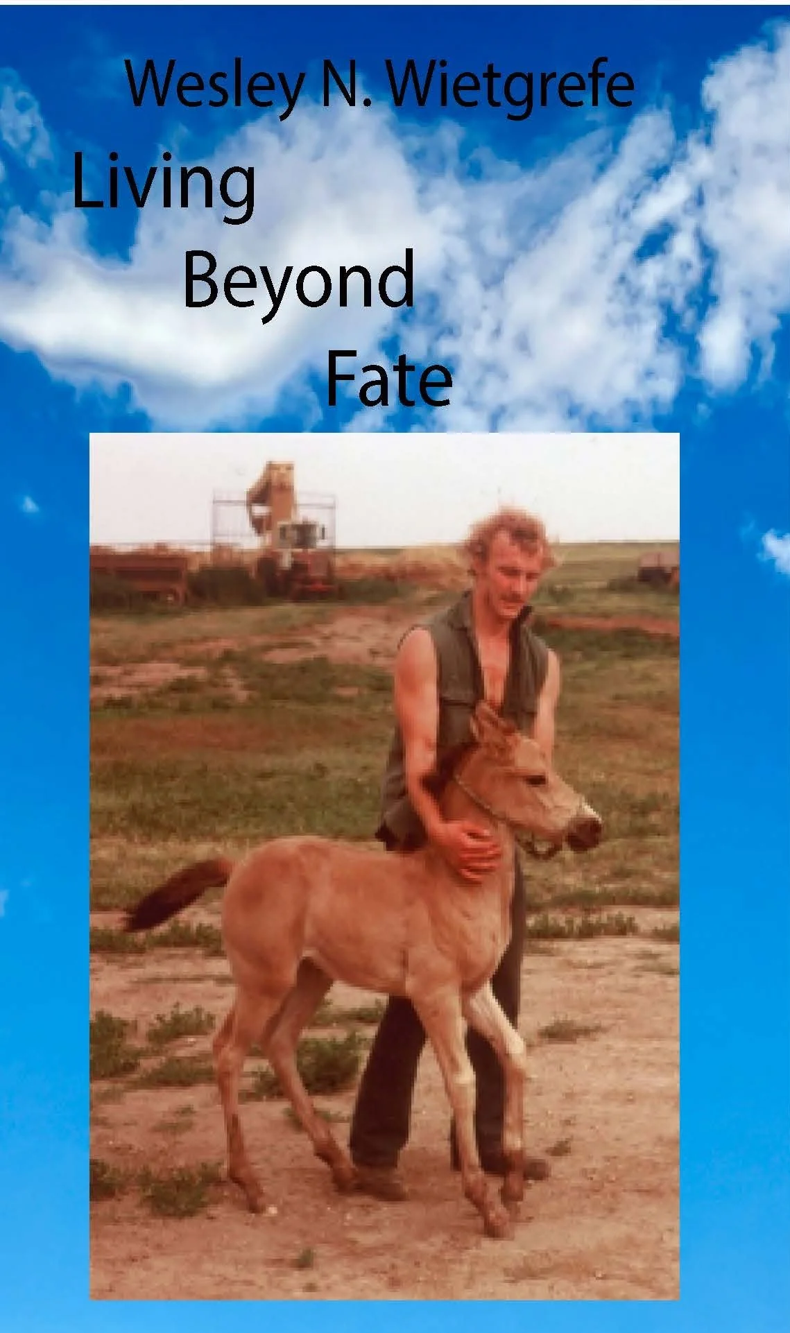 9798988173649-Perfect Living Beyond Fate 091324.jpg
