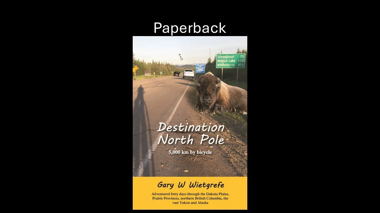 Destination North Pole paperback.jpg