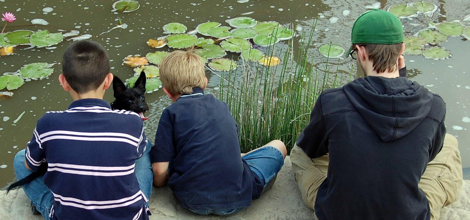 boys%20and%20pond.jpg