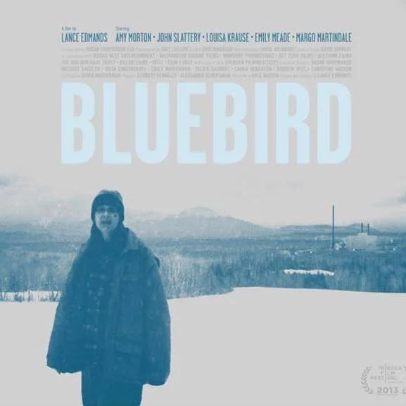 Bluebird-square.jpg