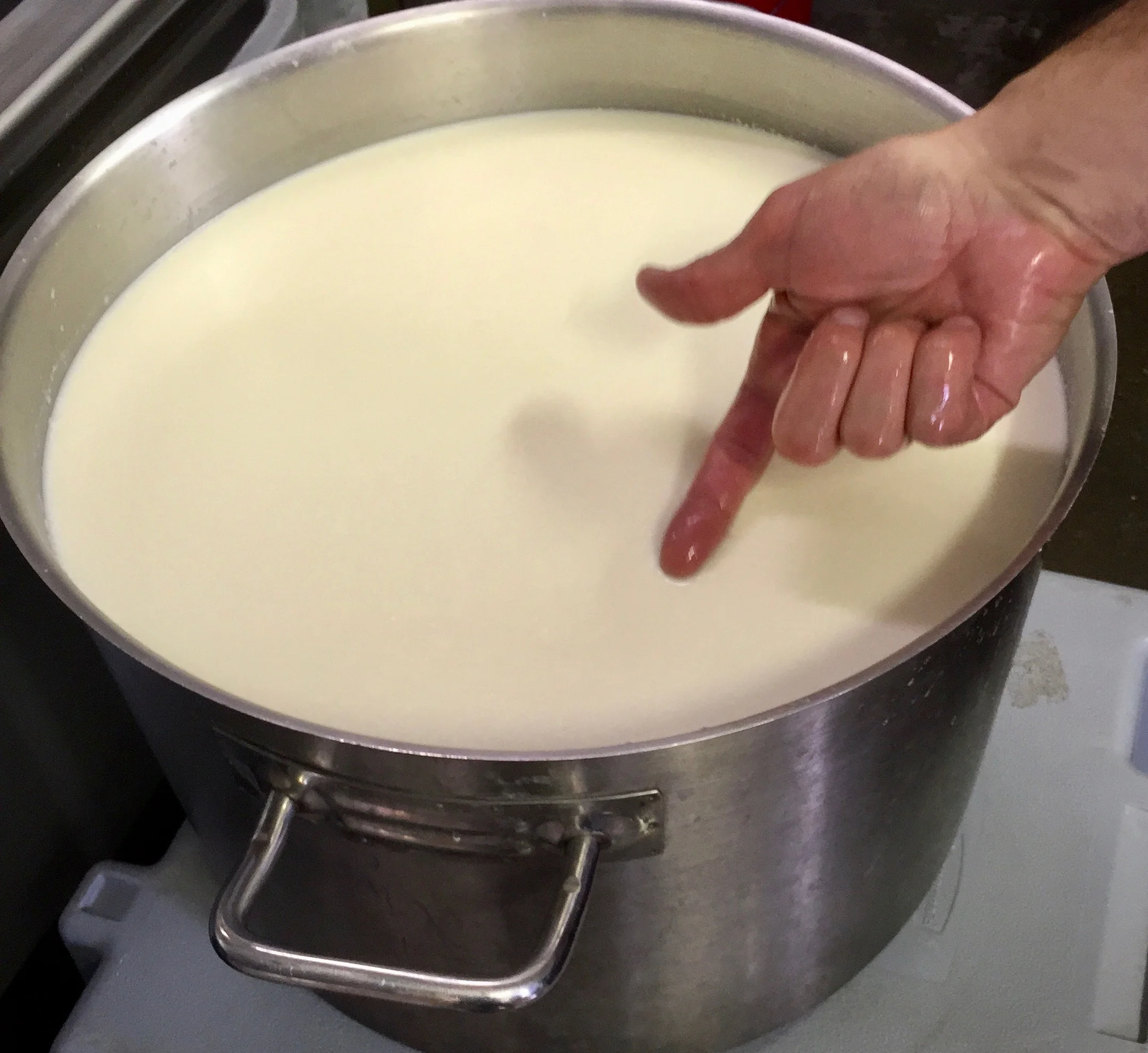Raw milk coagulating