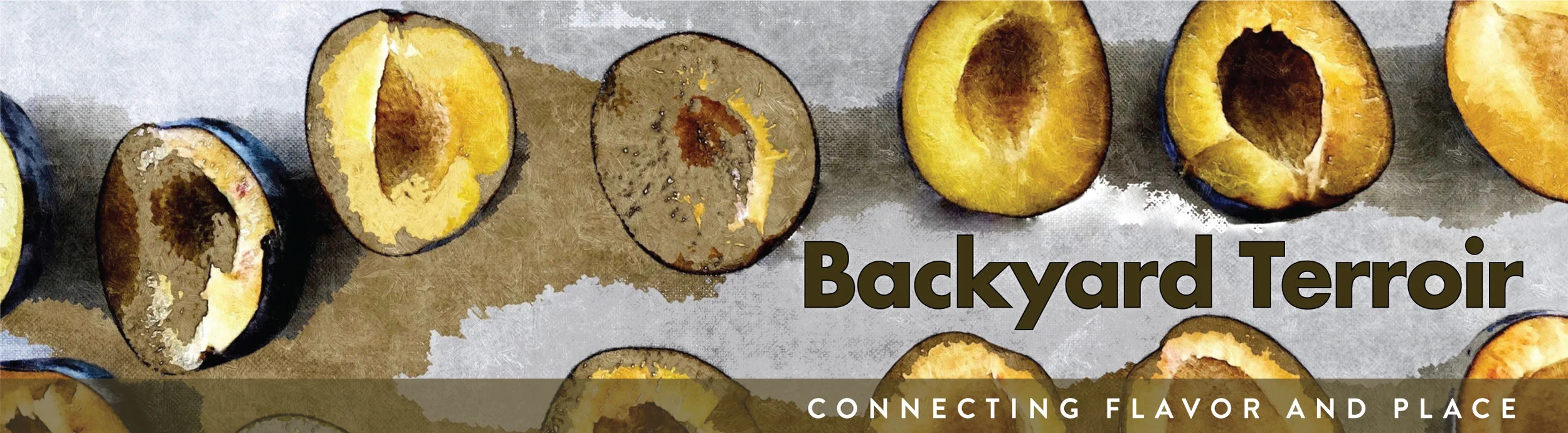 Backyard_terroir-logo-web.jpg